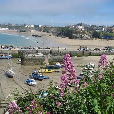 Kandi * New Quay